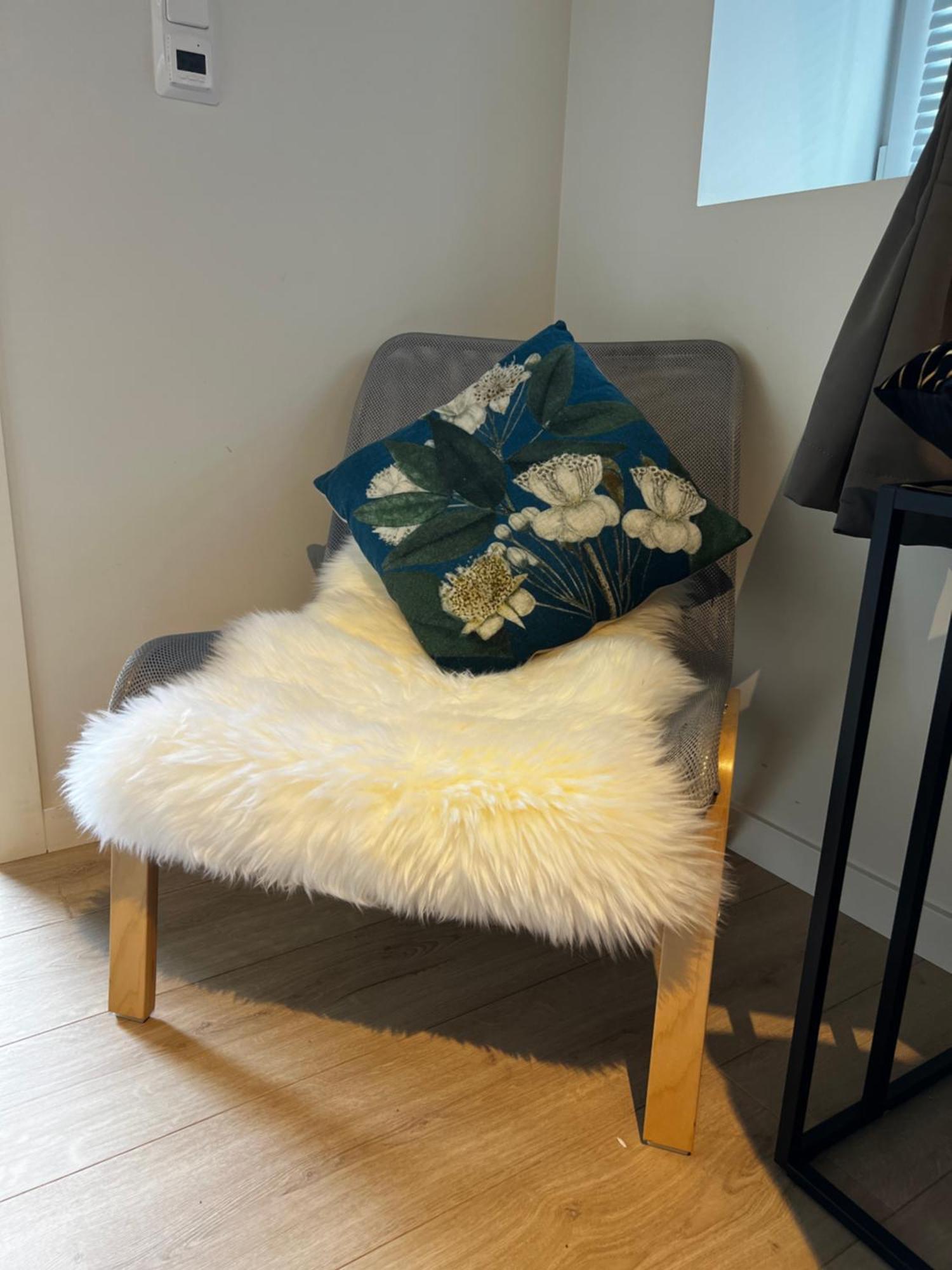 Apartment Lagunen With Terrace, Grill And Free Parking Bergen Extérieur photo